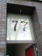 TRAUMHAFTE SINGLE-WOHNUNG MIT TERRASSE & GARTENNUTZUNG AM SAMTWEBERVIERTEL!! - "77 Sunset Street"