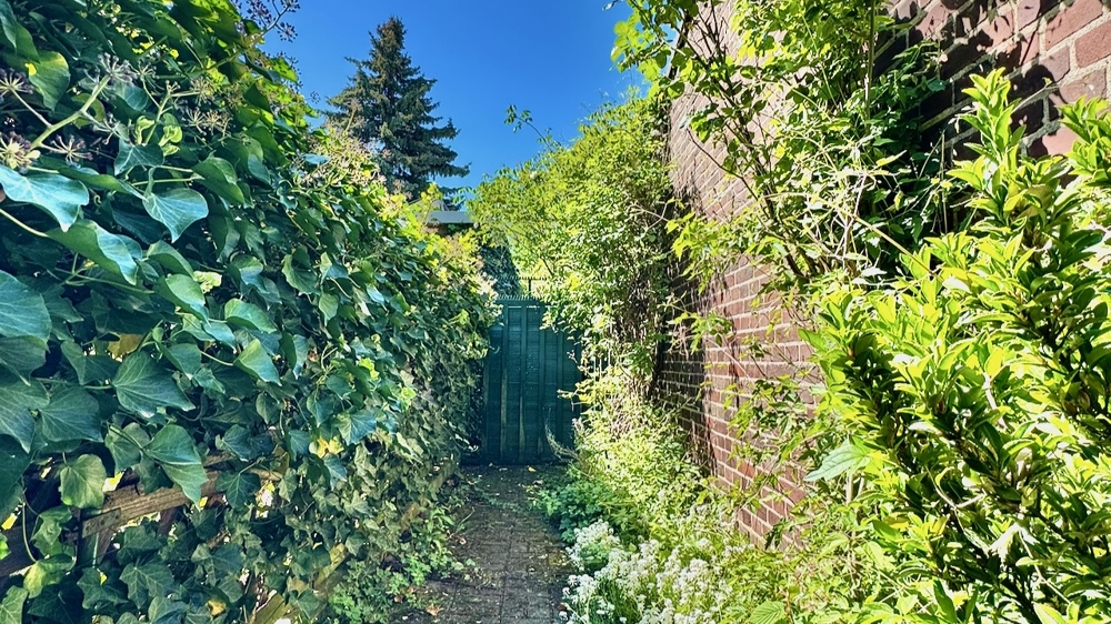seitlicher Zugang zum Garten