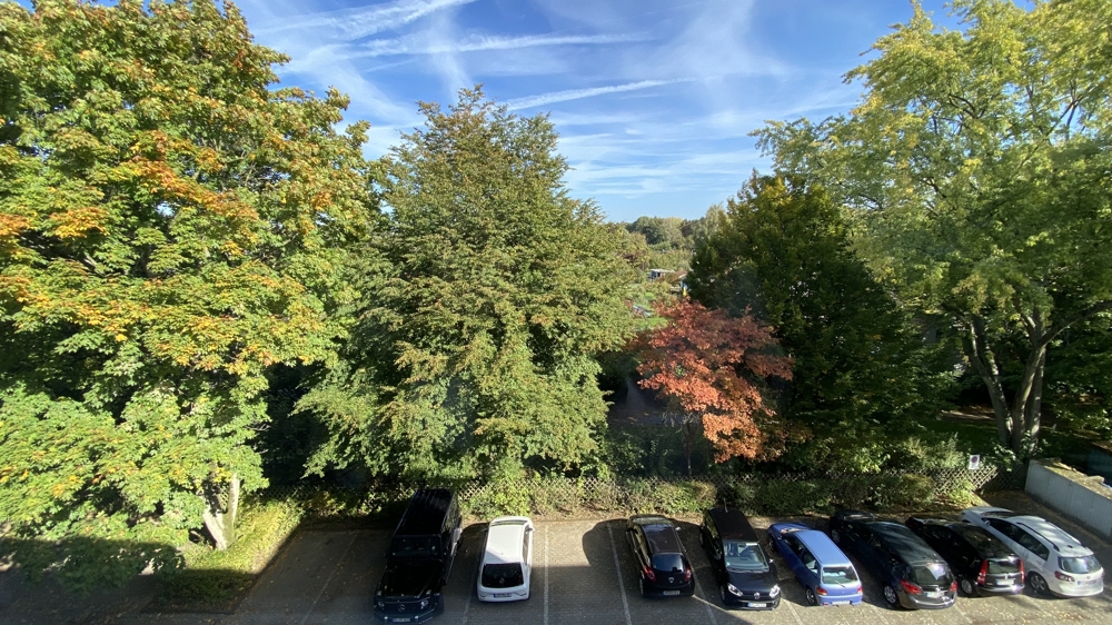 Blick aus Küchenfenster
