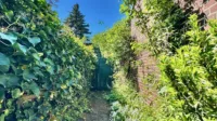 seitlicher Zugang zum Garten