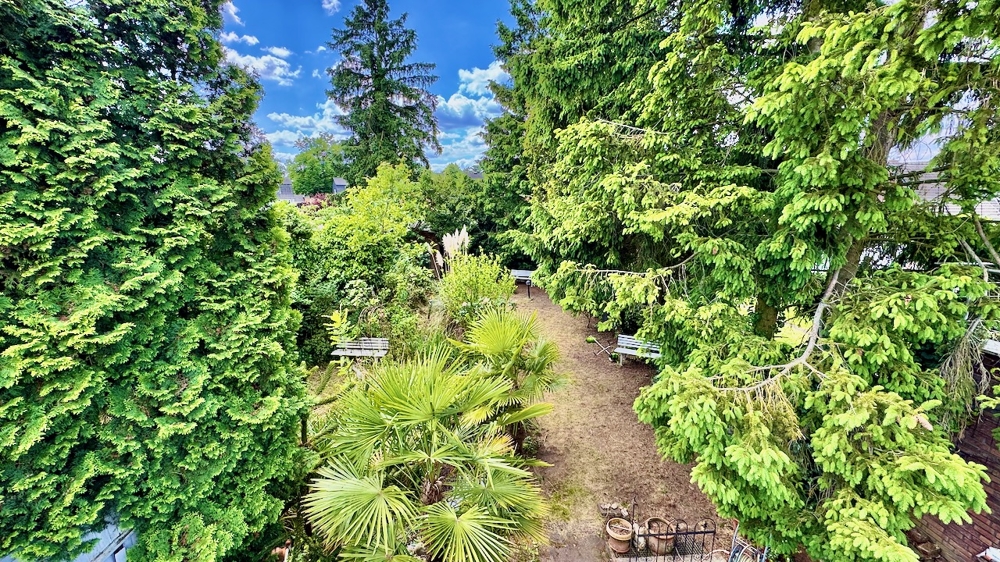 Blick in den Garten