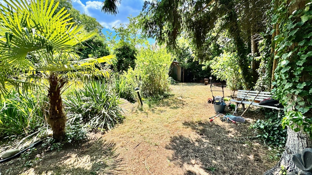 Blick in den Garten